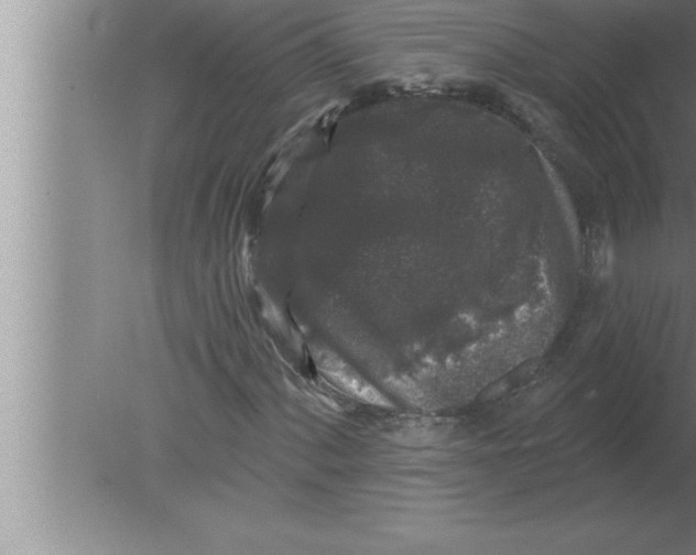 X0000080101060200612301912