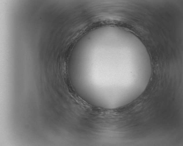 X0000080101061200612301912