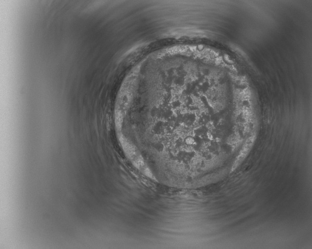 X0000080101063200612301912