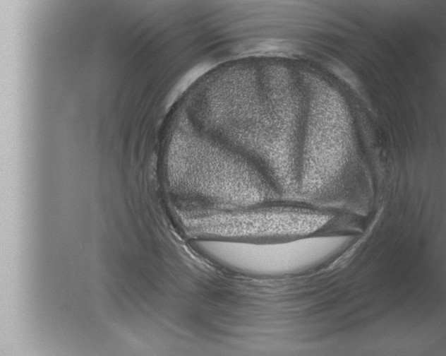 X0000080101066200612301912