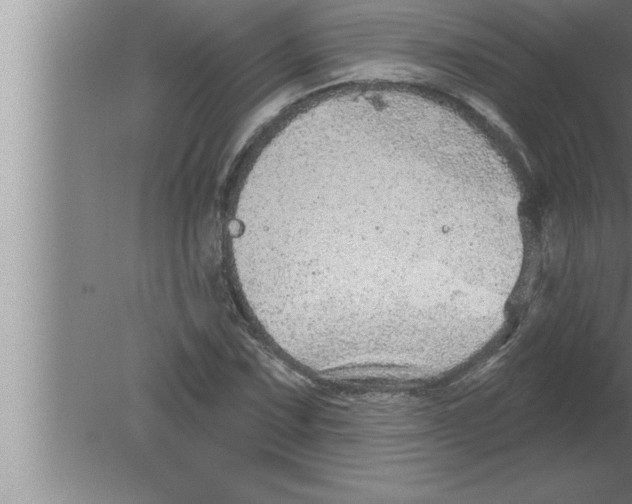 X0000080101067200612301912