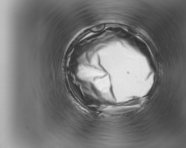 X0000080101068200612301912