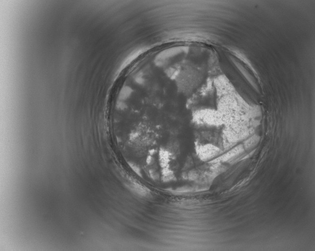 X0000080101071200612301912