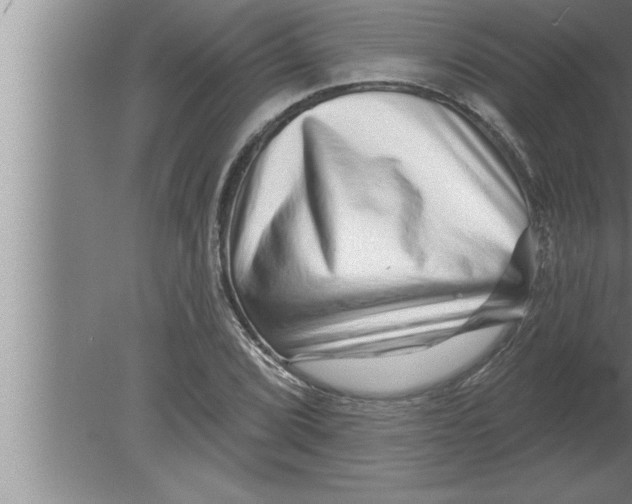 X0000080101072200612301912