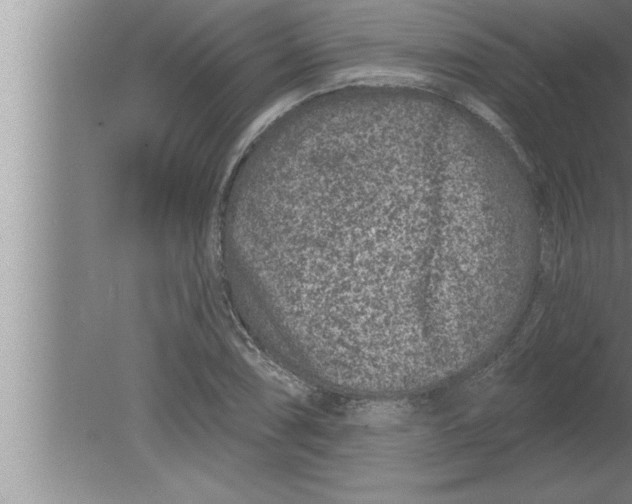 X0000080101074200612301912