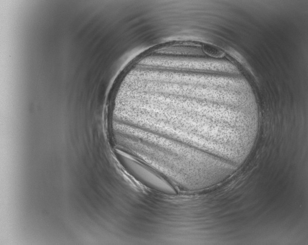 X0000080101076200612301912