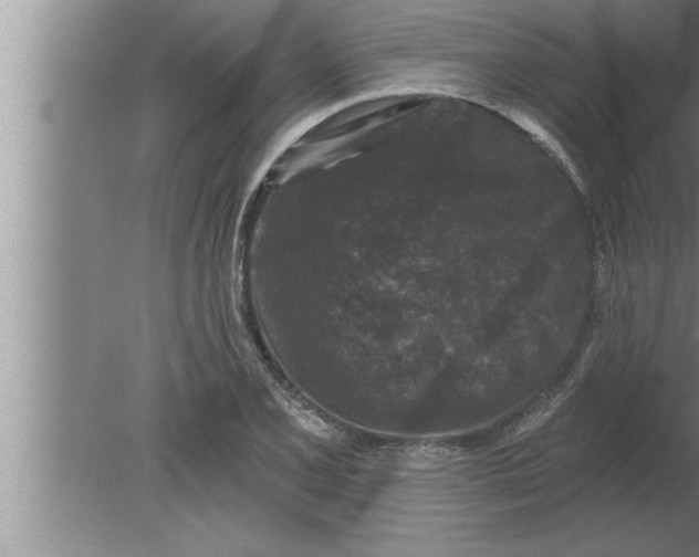 X0000080101077200612301912