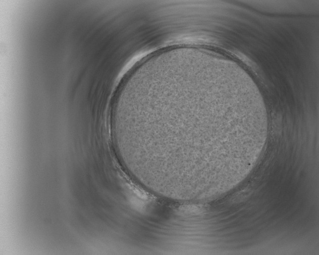 X0000080101078200612301912