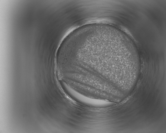 X0000080101079200612301912