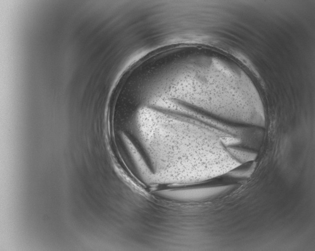 X0000080101080200612301912