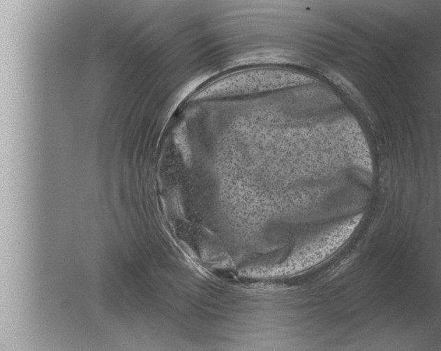 X0000080101081200612301912