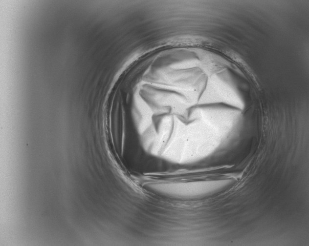 X0000080101083200612301912