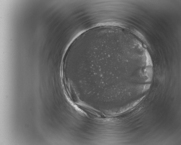 X0000080101084200612301912