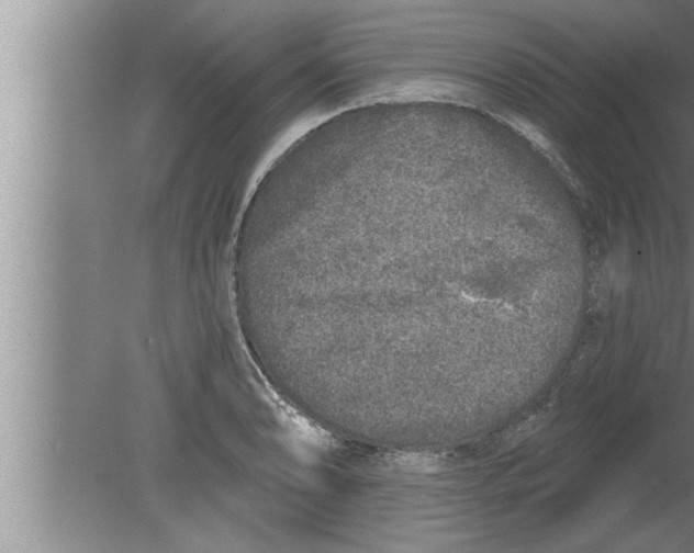 X0000080101086200612301912