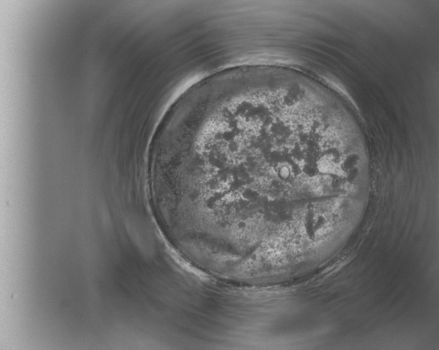 X0000080101087200612301912