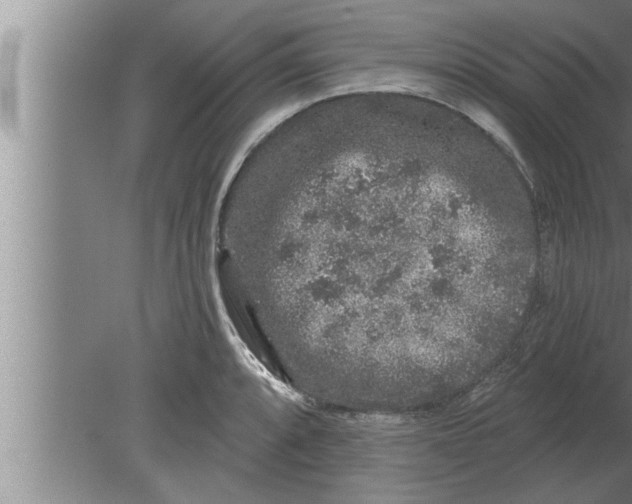 X0000080101088200612301912