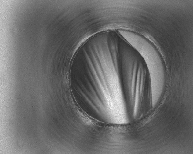 X0000080101089200612301911