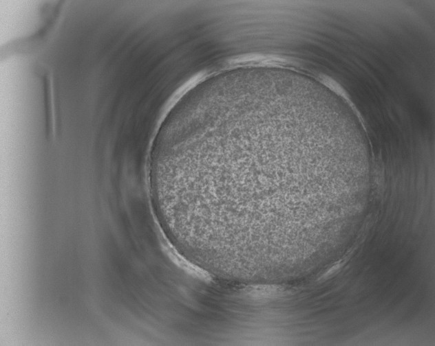 X0000080101090200612301911