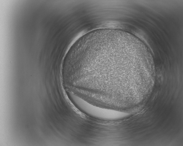 X0000080101091200612301911