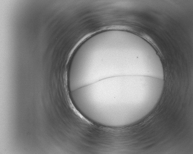 X0000080101092200612301911