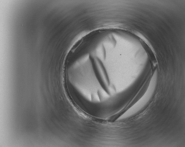 X0000080101093200612301911