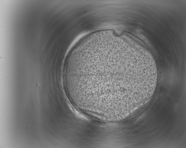 X0000080101094200612301911