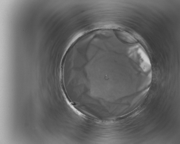 X0000080101095200612301911