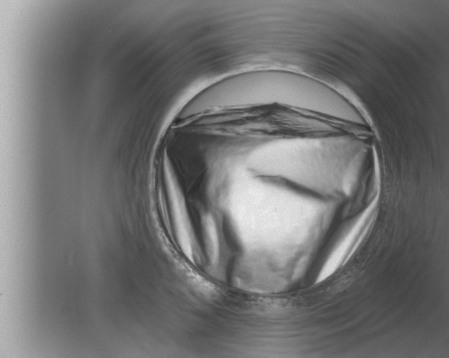 X0000080101096200612301911