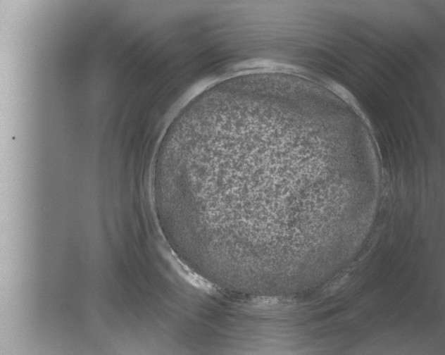 X0000080101098200612301911