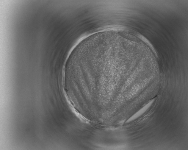 X0000080101099200612301911