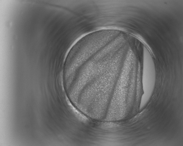 X0000080101100200612301911