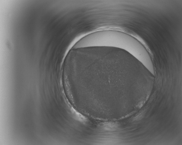 X0000080101102200612301911