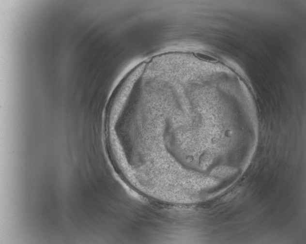 X0000080101103200612301911