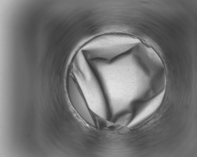 X0000080101104200612301911