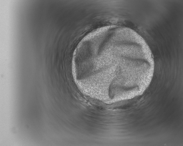 X0000080101105200612301910