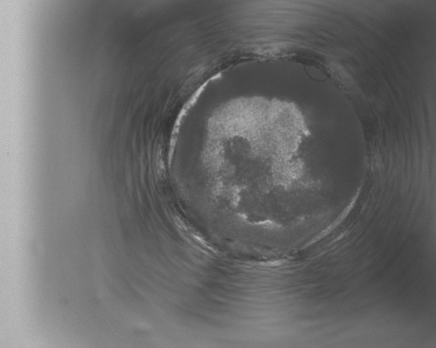 X0000080101106200612301910