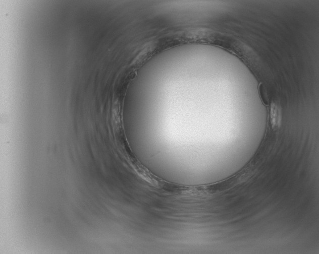 X0000080101107200612301910