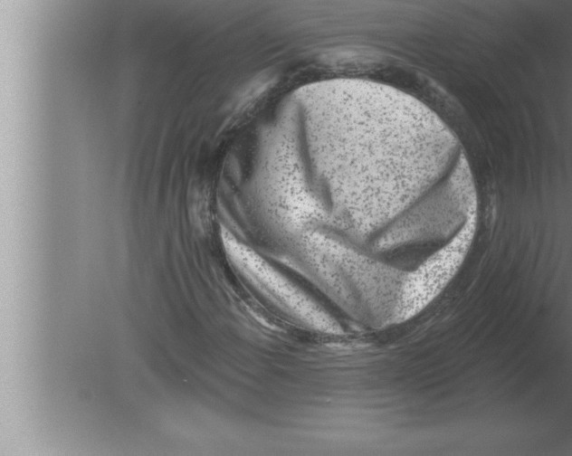 X0000080101108200612301910