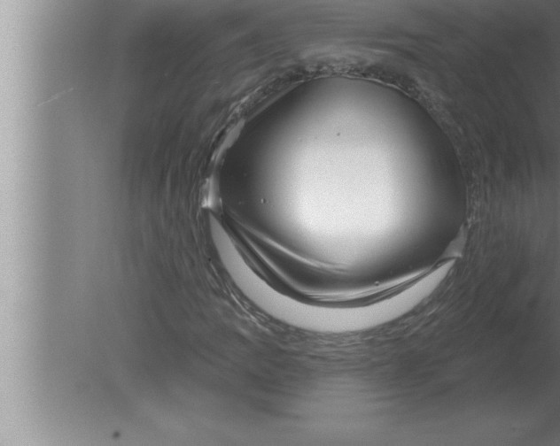 X0000080101109200612301911