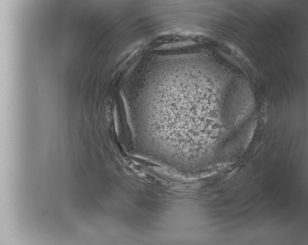 X0000080101110200612301911