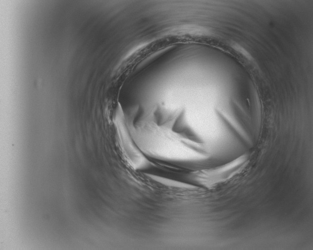 X0000080101112200612301911