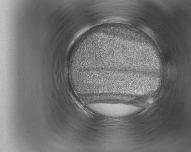 X0000080101115200612301911