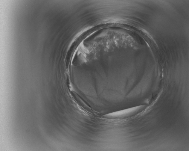 X0000080101117200612301911