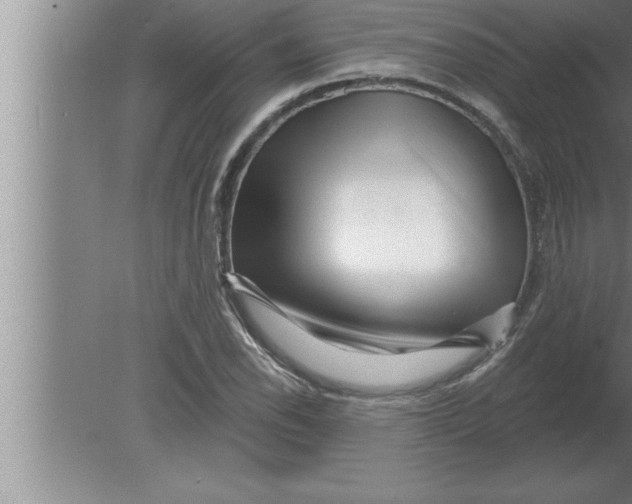 X0000080101118200612301911