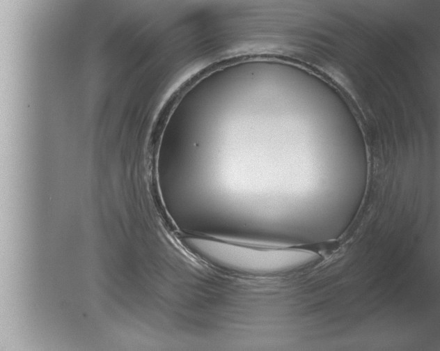 X0000080101119200612301911