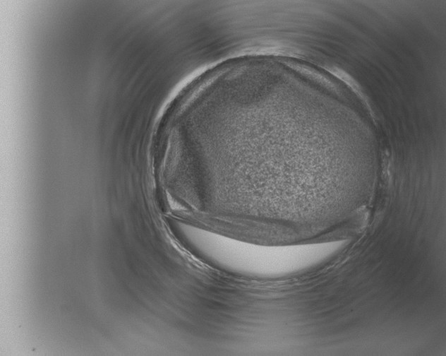 X0000080101120200612301911