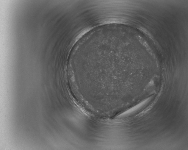 X0000080101121200612301911