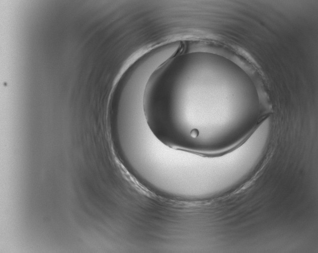 X0000080101122200612301911