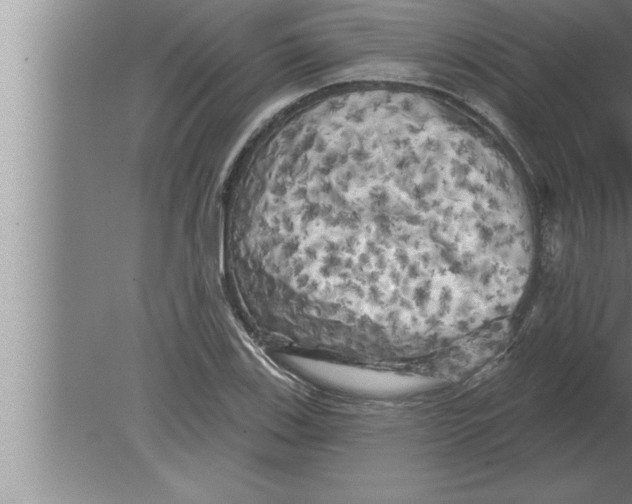 X0000080101123200612301911