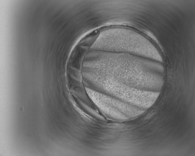 X0000080101124200612301911